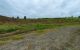 thum-8319057_726u0JXkdi_1640217735.jpg