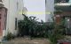 thum-8319465_A5VRwgjrD6_1640227777.jpg