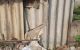 thum-8319869_Q7Lh9aOf6K_1640238929.jpeg
