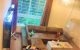 thum-8320362_qO8tr59GRM_1640251666.jpg