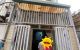 thum-m_xvsHahjcwt_1640222387.jpg
