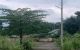 thum-m_yJUEM715Bz_1640245006.jpg