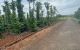 thum-8321387_BPVQ1O2YmI_1640309049.jpg