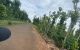 thum-8321387_XvmusYAWMf_1640309066.jpg