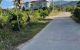 thum-8321613_etgU0G4Adk_1640315918.jpg