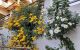 thum-m_3oHgwOqi04_1640311580.jpg