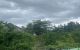 thum-m_EjROH7bAWw_1640316023.jpg