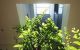 thum-8323073_tmPEOcGrnQ_1640368283.jpg