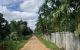 thum-8323427_WPC6iw8R4D_1640392878.jpg