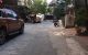 thum-8324162_BKIMO1hbFp_1640412369.jpg