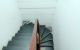 thum-8325018_0ucADXMvpV_1640440969.jpg
