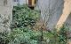 thum-m_X2RfThyHW8_1640404085.jpg