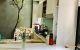 thum-m_dTeinzu2DE_1640405587.jpg