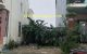 thum-m_emSitKckNV_1640400317.jpg