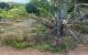 thum-8325358_ZxFul7GDEz_1640474850.jpg