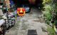 thum-8326255_3UDOfgPzLc_1640508326.jpg