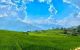 thum-8328091_4b3damDkFp_1640596083.jpg