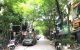 thum-m_AbEHYRFLdC_1640589797.jpg