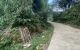 thum-m_ca1DtqxnCi_1640596223.jpg
