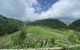 thum-8329921_g8uAnUTWRI_1640673141.jpg