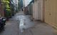 thum-8331514_7ySA8ftenr_1640745050.jpg
