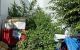 thum-8331524_nS9Ay2u8Md_1640745584.jpg