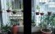 thum-8332386_u0H7iGeOMv_1640768422.jpg