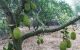 thum-m_wpfl14gCZv_1640744663.jpg