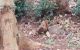 thum-8333614_FxiJBDwE2g_1640829783.jpg