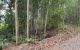 thum-8334231_a93FrA7En5_1640848829.jpg