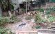 thum-8334539_IaRNp9kmr3_1640864869.jpg
