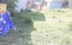 thum-m_8r9aNMHi3v_1640849309.jpg