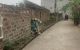 thum-8335739_N1vYscwIqd_1640925562.jpg