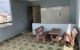 thum-8337487_1SCaM2xcwO_1641011587.jpeg