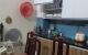 thum-8337505_4TrbRonAH7_1641012184.jpg