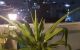 thum-8339942_DQTe5coGM1_1641171109.jpg