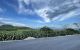 thum-8340340_BDVLgjwQuh_1641181442.jpg