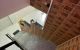 thum-m_3pD2GuWtIS_1641215702.jpeg