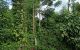 thum-8342916_lpWTRXL7JS_1641283999.jpg