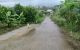 thum-8343609_Vn2WtoqMrv_1641306621.jpg