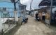 thum-m_X1kPKwLAue_1641267079.jpg