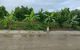thum-m_h1cirFKR8q_1641306617.jpg