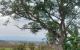thum-8346494_dNejvRuTS7_1641432616.jpg