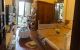 thum-m_AVnuKsPkto_1641475713.jpeg