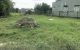 thum-m_poeP4lHcum_1641434747.jpg