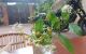 thum-8348133_xABVEvamiu_1641515371.jpg