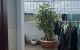 thum-8348519_frJpLmhz3l_1641524511.jpg
