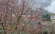 thum-m_06PBN2JAUr_1641525893.jpg