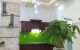 thum-8351318_8EczWlB4rp_1641637829.jpg