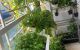 thum-8351402_C5BlInsVRd_1641641104.jpg